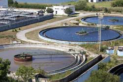 diesel generator for sale